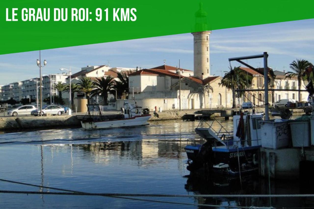 Appartamento Au Roi Rene - Ac Clim - Wifi Avignone Esterno foto